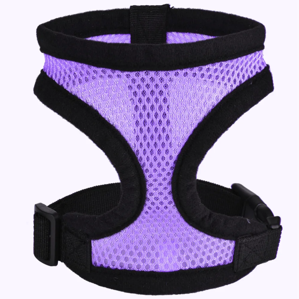 DY103-Purple (1)