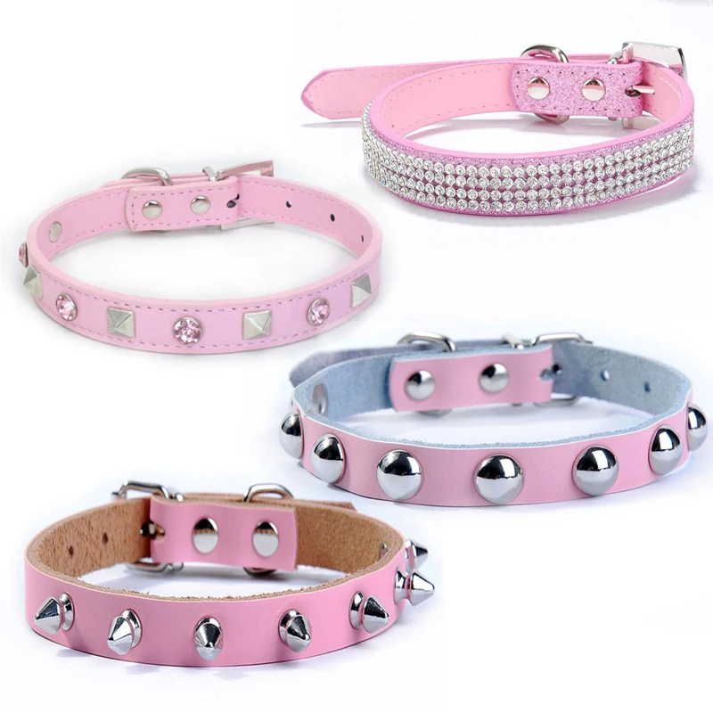 Dog Collar 3