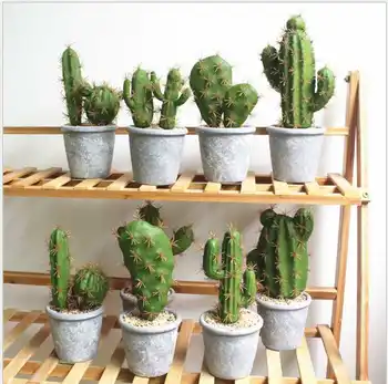 

Simulation Plant Potted Creative Home Decoration Cactus Meaty Bonsai Study Decor