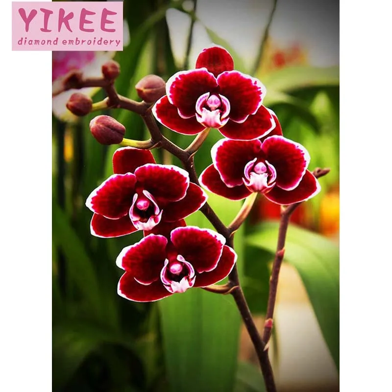 

diamond painting full square 5d,diamond embroidery flower orchid,3d diamond embroidery