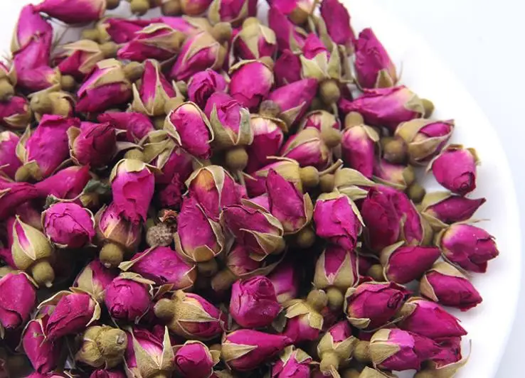 Red Rose Buds