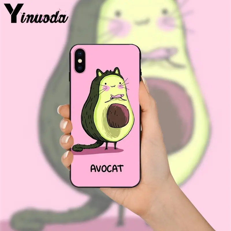 Avocado