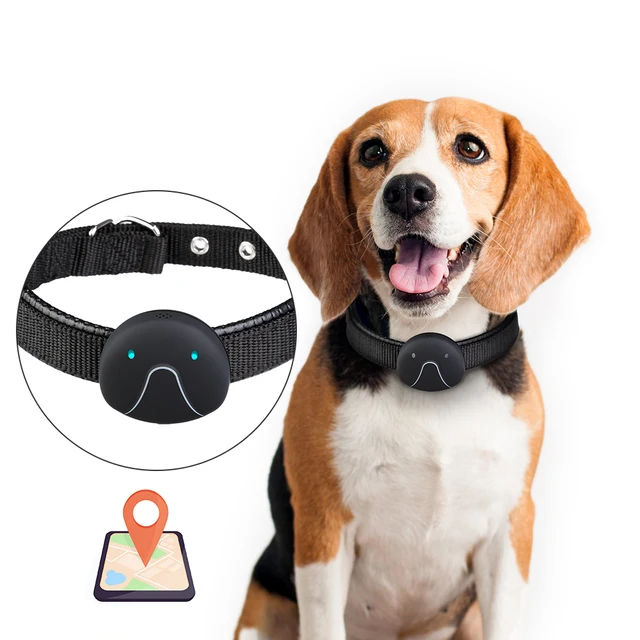 New Smart Dog Collar Gps Tracker Dog Cats Activity Monitor Pi967 Waterproof Anti Lost Collar 120h Standby Usb Charging Collar Collars Aliexpress