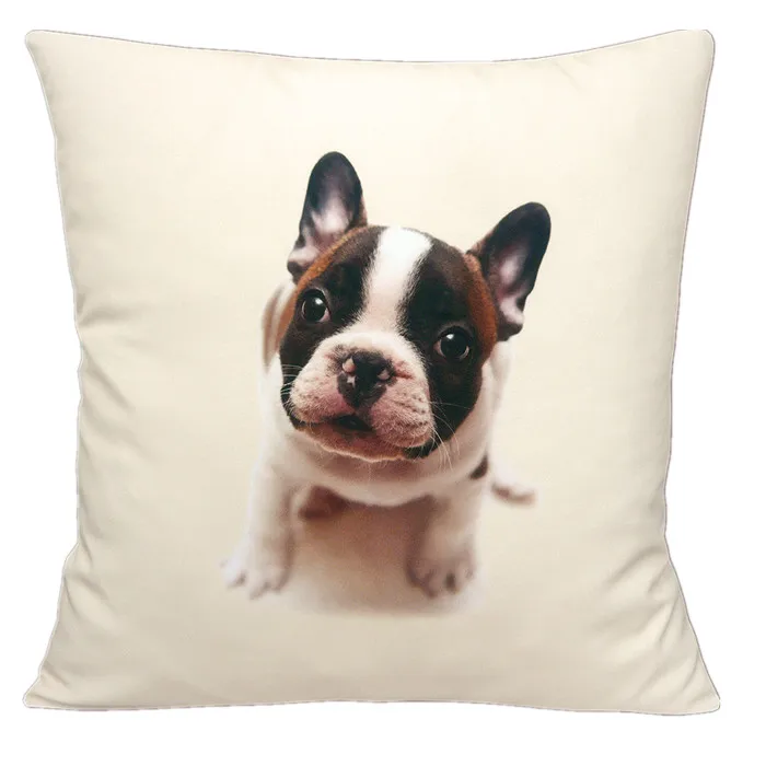 Hot Dog Pillow Cases Video Hot Dog Pillow Cases Video