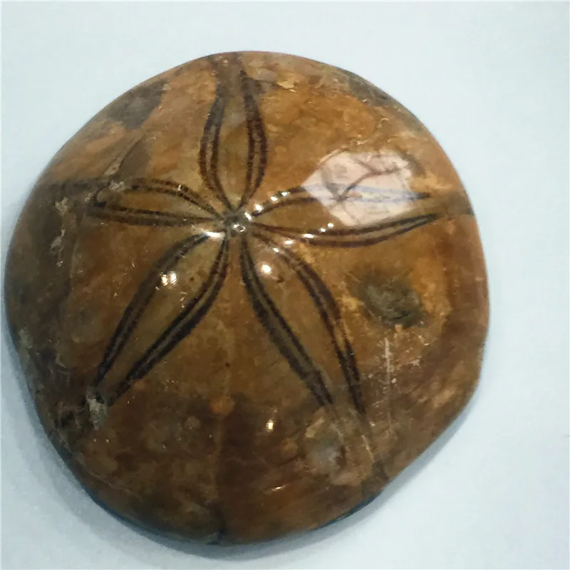 08 (1)