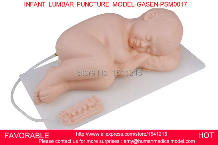 

ADVANCED INFANT LUMBAR PUNCTURE SIMULATOR MODEL, NEONATAL LUMBAR PUNCTURE MODEL,INFANT LUMBAR PUNCTURE MODEL-GASEN-PSM0017