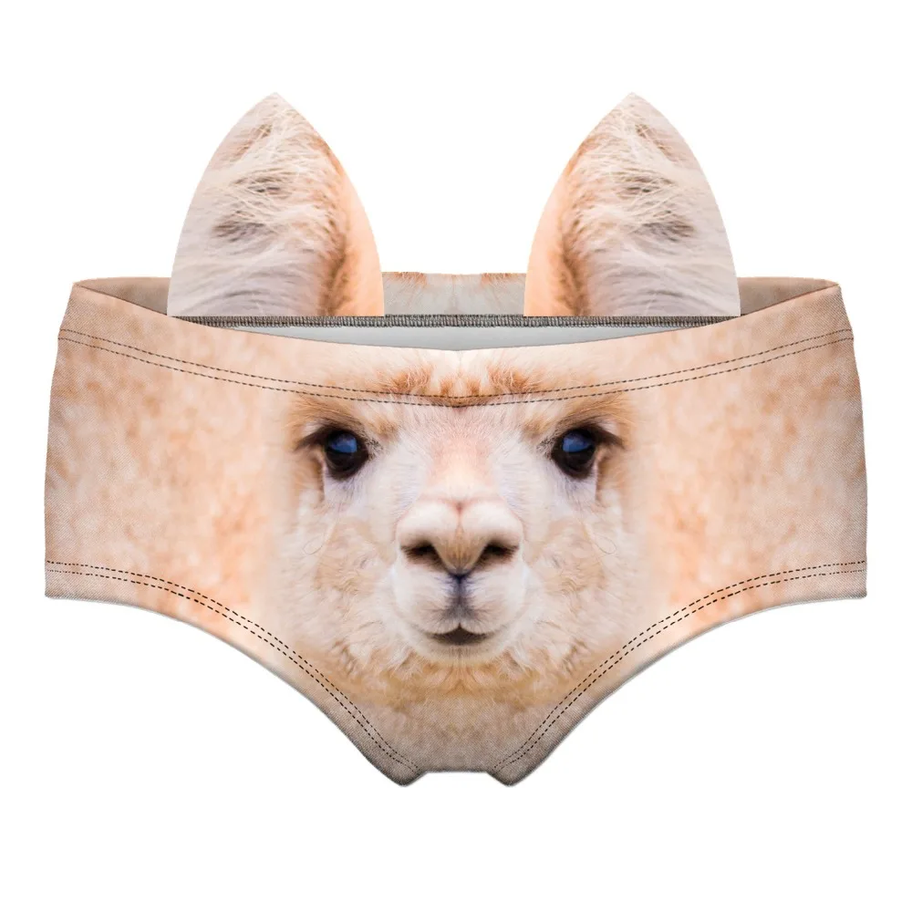 55465 PERU ALPACA wiz front