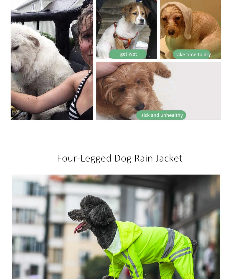 Dog Rain Coat (3)