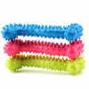 Jouets 3 pièces pour animaux de compagnie | Os à mâcher, dents molaires, propres, os de cochon en caoutchouc, grands et moyens chiens ► Photo 2/5