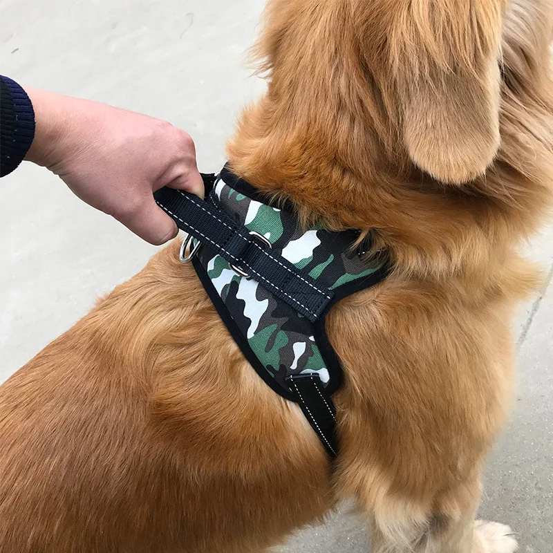 dog harness (7)