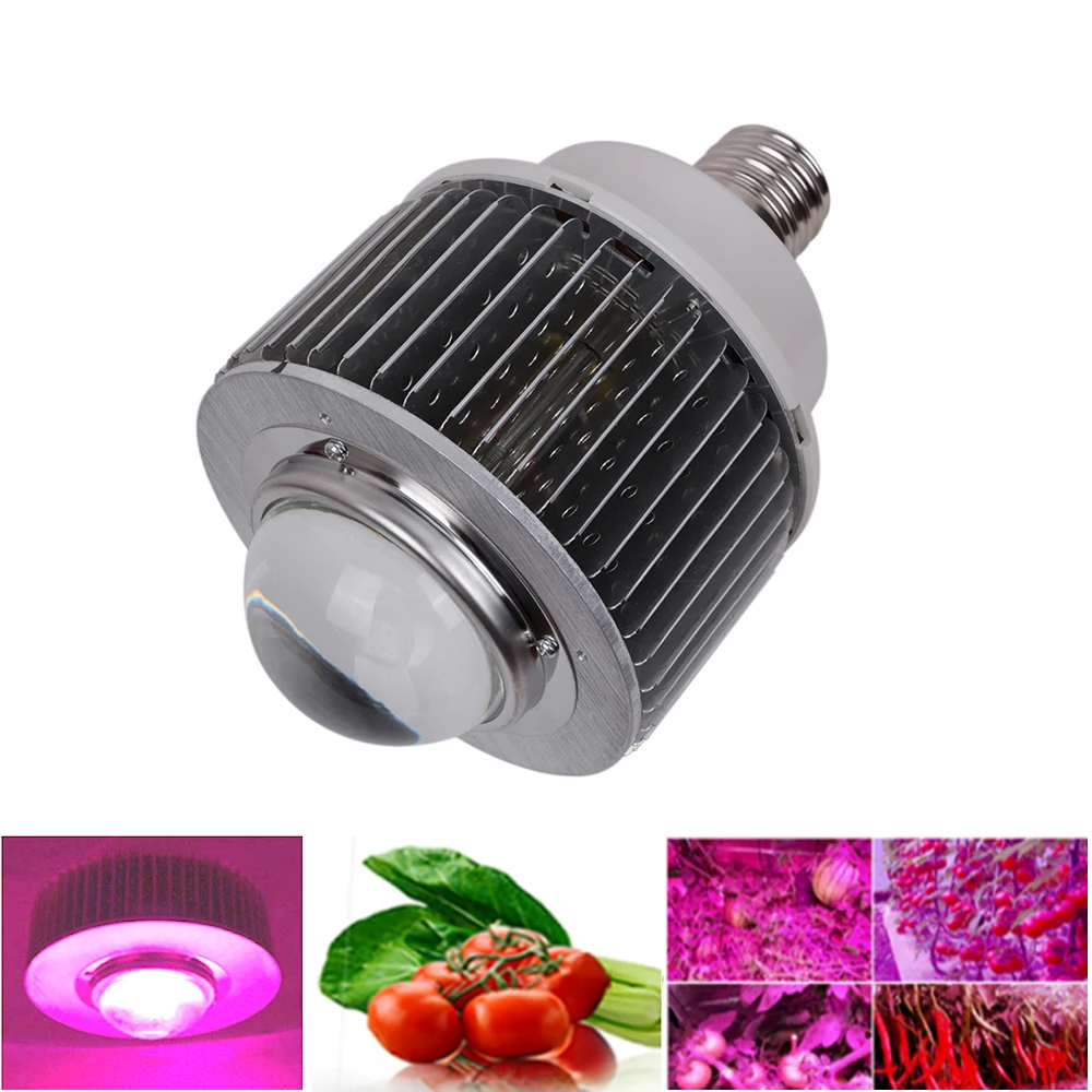 

RAYWAY High Power 30W 50W Grow Lamp E40 E27 COB Chip Blue+Red full spectrum LED Plants grow light Hydroponics Flowering Lamp
