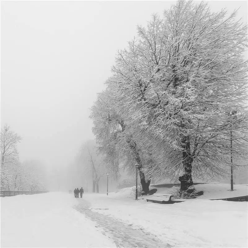 

KIDNIU Photo Backdrops Children Winter Snow Photo Props Trees Wallpaper Vinyl Photography Background 6x6ft win1345