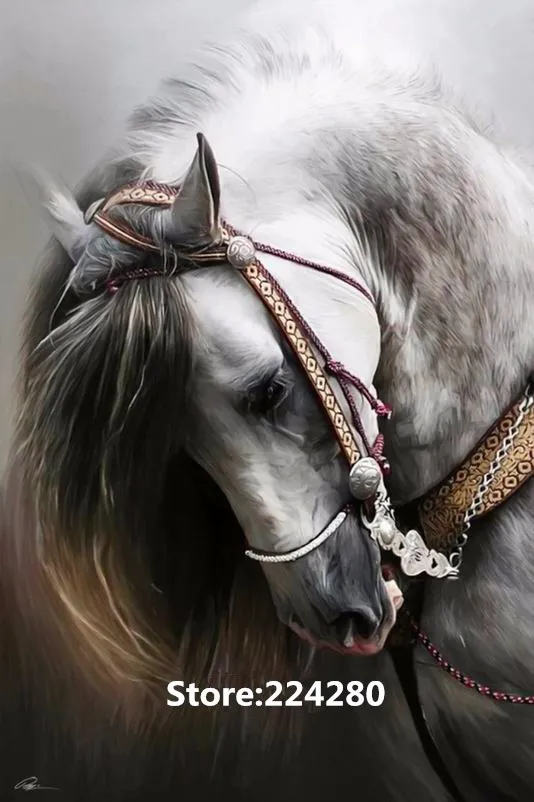 Рукоделие, для вышивки, сделай сам DMC белая андалузская Лошадь Животное 14ct холст Набор для вышивки крестиком, художественный узор Счетный Декор ручной работы