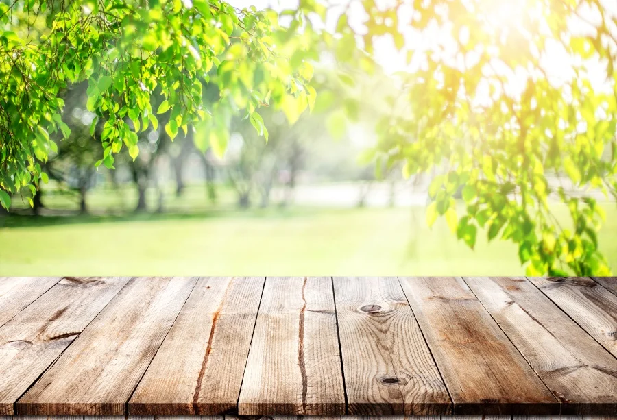 Laeacco деревянный пол Весенние деревья зеленые листья Солнечный свет фото фон Индивидуальные фотографический фон для фотостудии