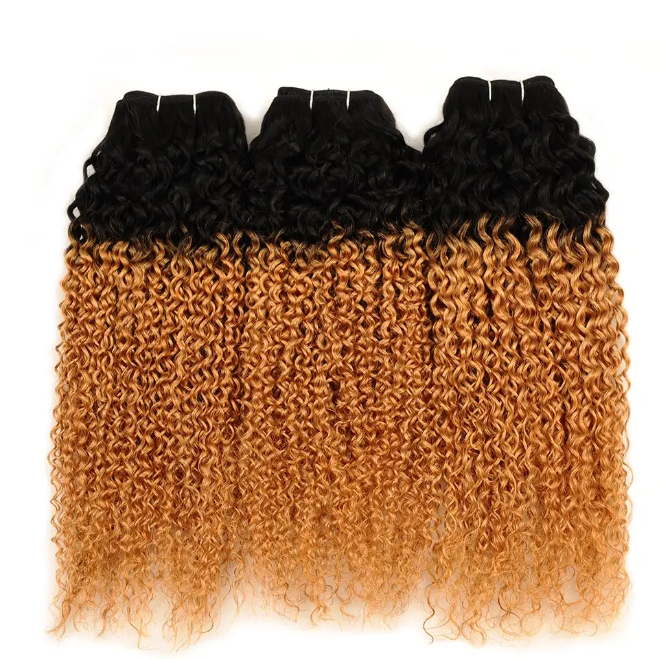 Pinshair Ombre Brazilian Curly Weave Human Hair Bundles With Lace Closure Blonde 1B 27 Jerry Curl 3 Bundle With Closure Non Remy (1)