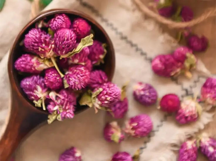 HTB1TMfDJWSWBuNjSsrbq6y0mVXaT