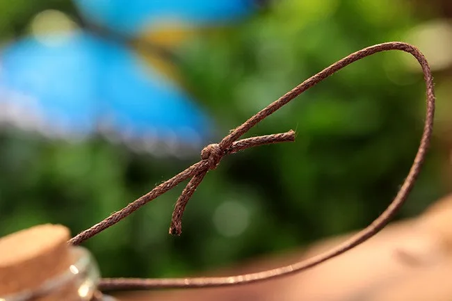 1955190539_1159440446