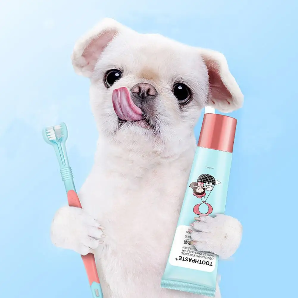 

Pet Toothbrush Toothpaste Set Dog Teeth Cleaning Care Set Edible And Harmle Strengthen Teeth For Teddy Fench Bulldog Pug Puppy