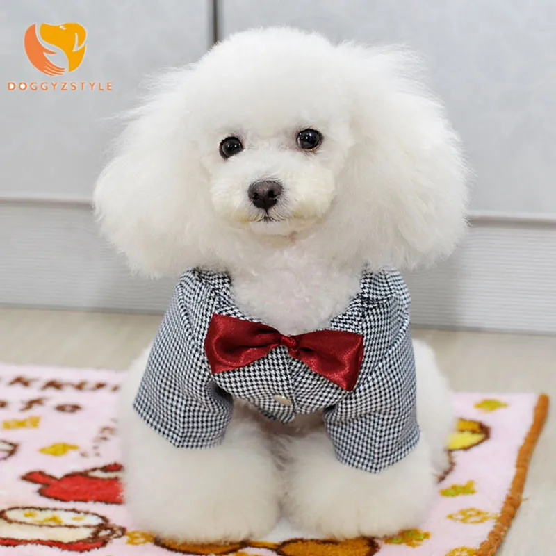 dog shirt 1