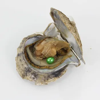 

Green Rice Pearls in Akoya Oysters Wholesale 6-7mm Rice Pearl Oyster Shell Vacuumed Pack Love Wish Pearls 20pcs/lot AO027