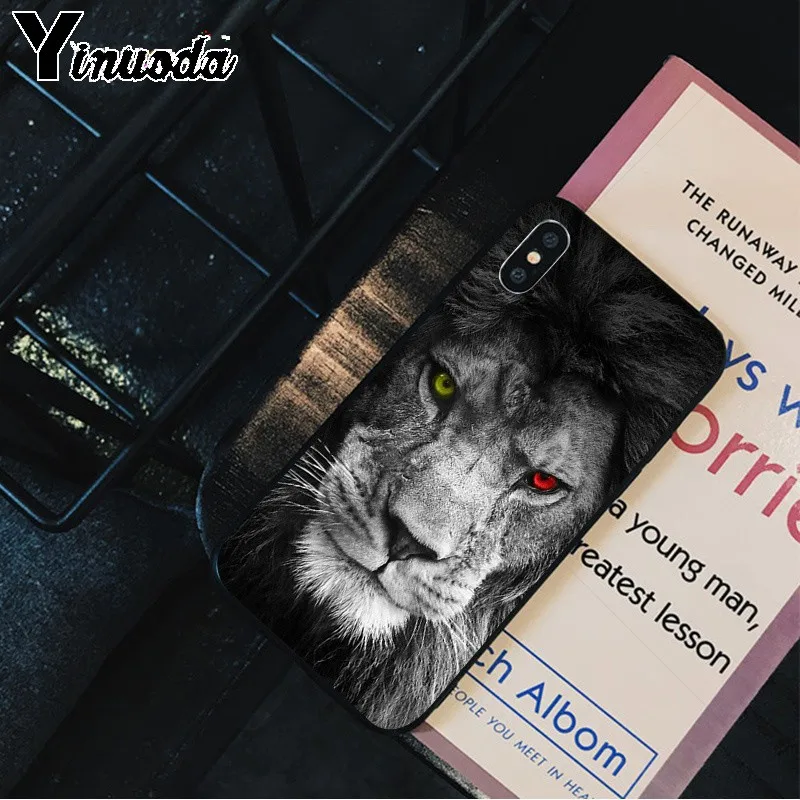 Animals The lion