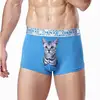 3 pcs/lot CHENKE365 Brand Meow Star Man Fashion Sexy Cat Printing Modal Male Boxer Underwear Wholesale Manufacturers Boxers 2