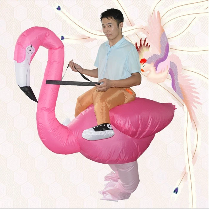 1116