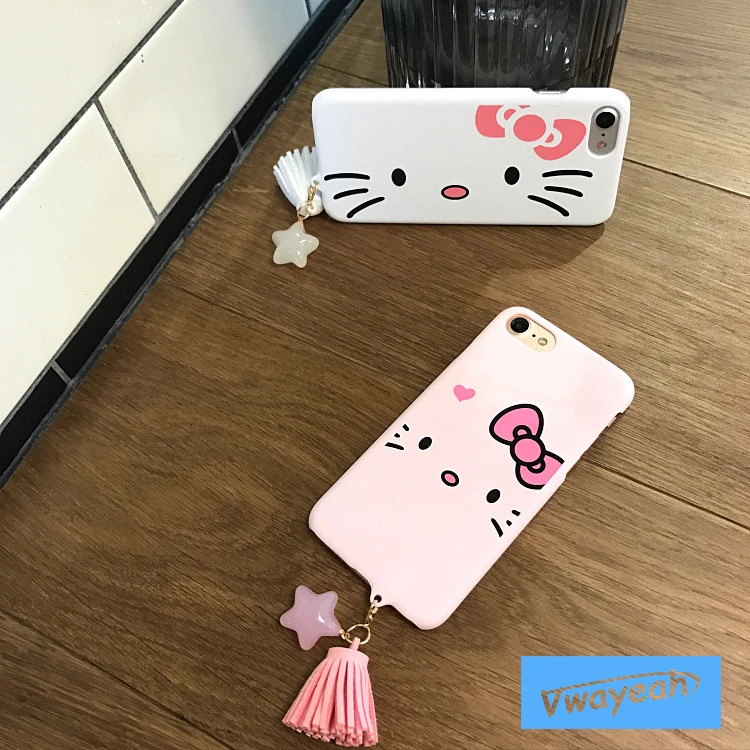 hello kitty case (13)