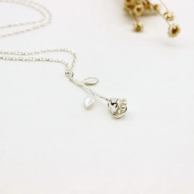 245083_no-logo_245083-2-02