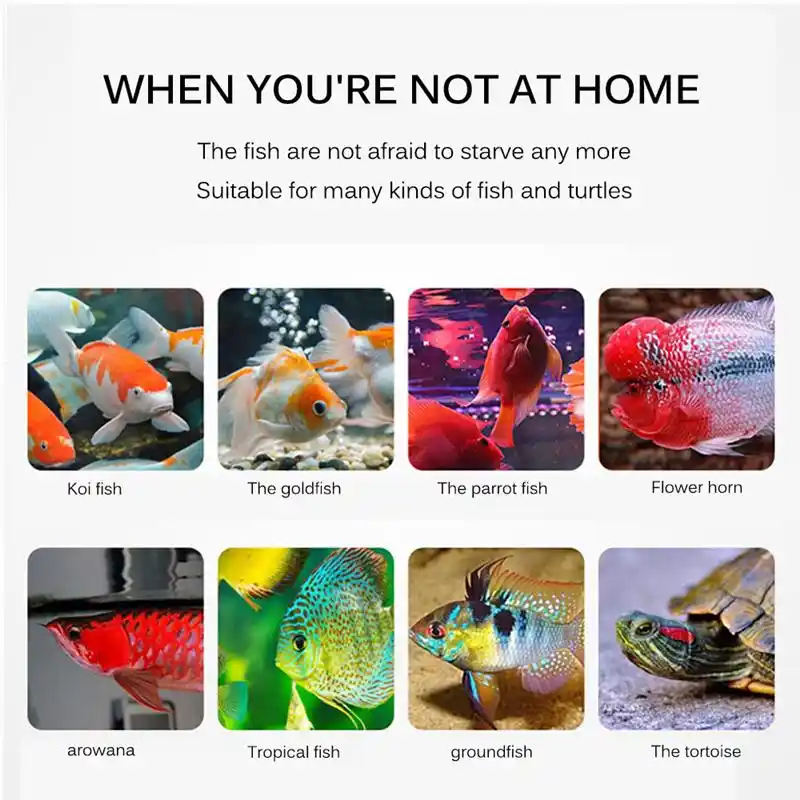 Automatic Fish Feeder Digital Aquarium Fish Feeders Fish Tank