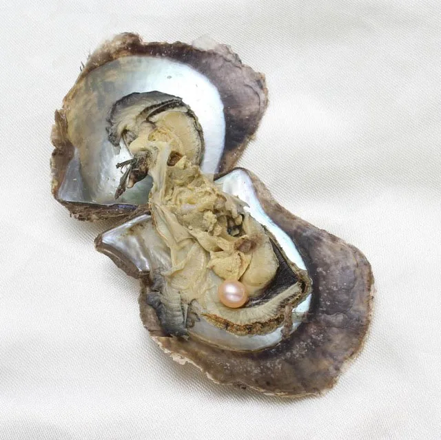 h-1 (5)