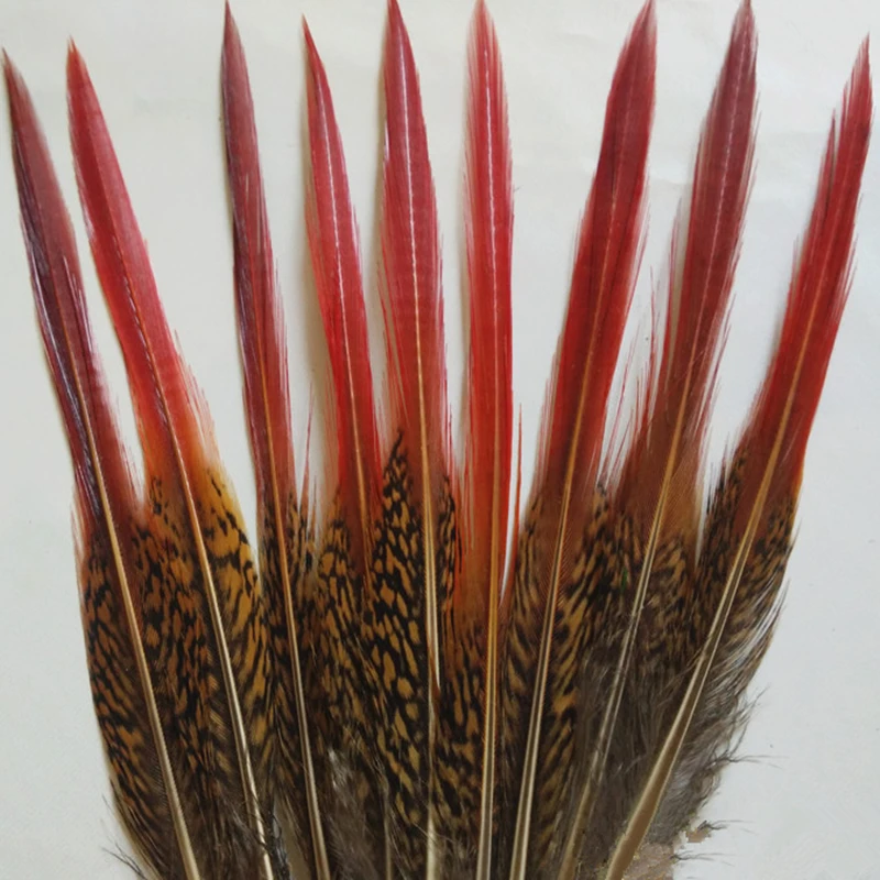 samba gouden