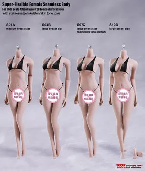

Collectible 1/6 Scale Sexy TBLeague eFemale Body Pale Color Stainless Steel Skeleton Seamless Body Action Figure Doll KT004 Head