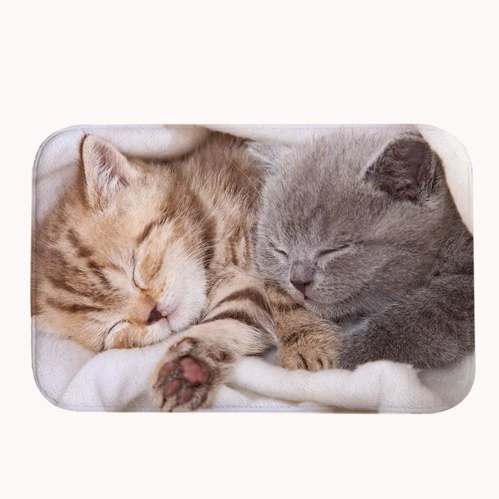 Cute Sleeping Cat Coral Fleece Bath Mat Area Rug Door Mat Entrance Rug