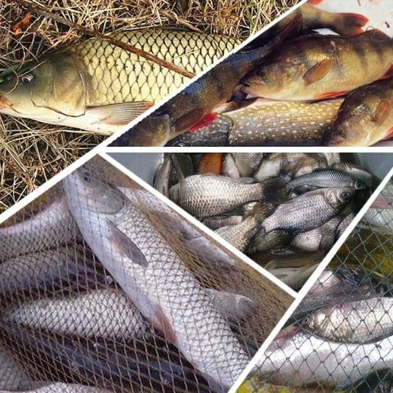 rede de pesca suprimentos de pesca ao ar livre ferramenta