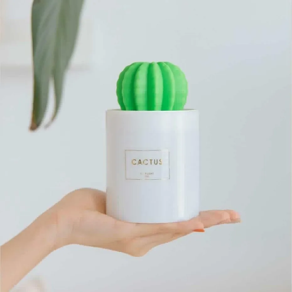 Ультразвуковой увлажнитель воздуха Cactus USB со светодиодсветильник кой диффузор