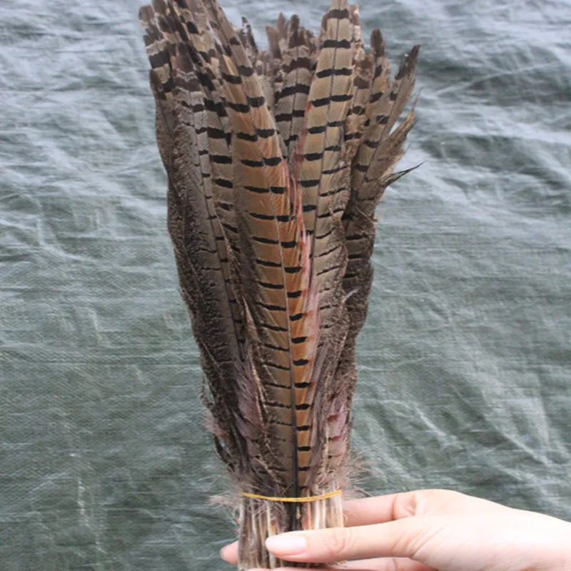 Wholesale 100 Pcs Natural Pheasants Feathers 1012inches/2530cm