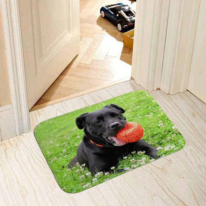 Modern home decorative door mat popular dogs pug/border collie/bull terrier/French bulldog photo print 40x60cm floor mat carpet - Цвет: MI 10