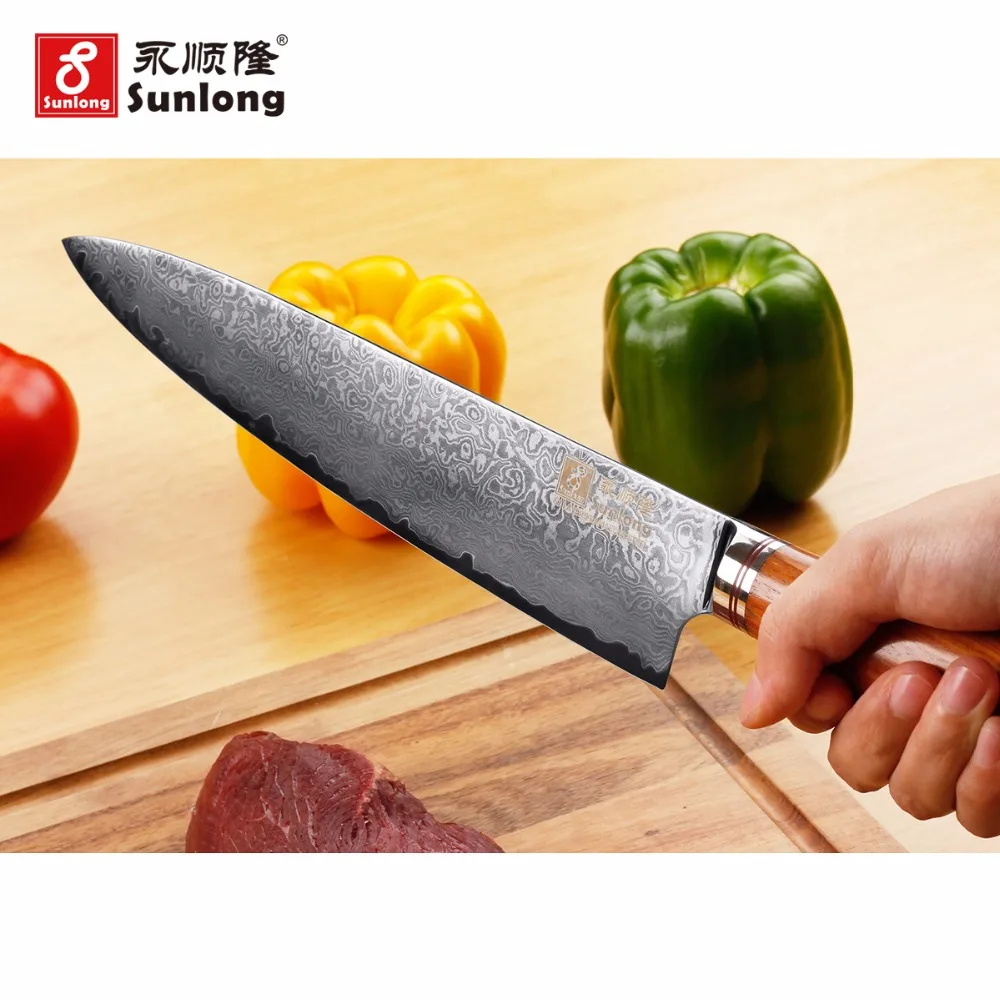 Sunlong профессиональные ножи шеф повара 10 дюймов японский VG 67 слоев Дамасская сталь