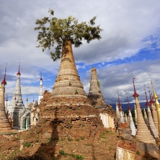 Ruined pagodas at Shwe Inn Thein Paya above Inthein on Inle Lake; Myanmar Poster Print (40 x 22)