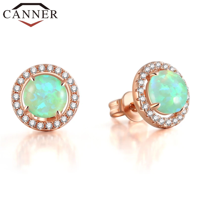 CANNER Exquisite Rose Gold Color Round Naturial Stone Zircon Stud Earring Fashion Charm Jewelry for Women FO