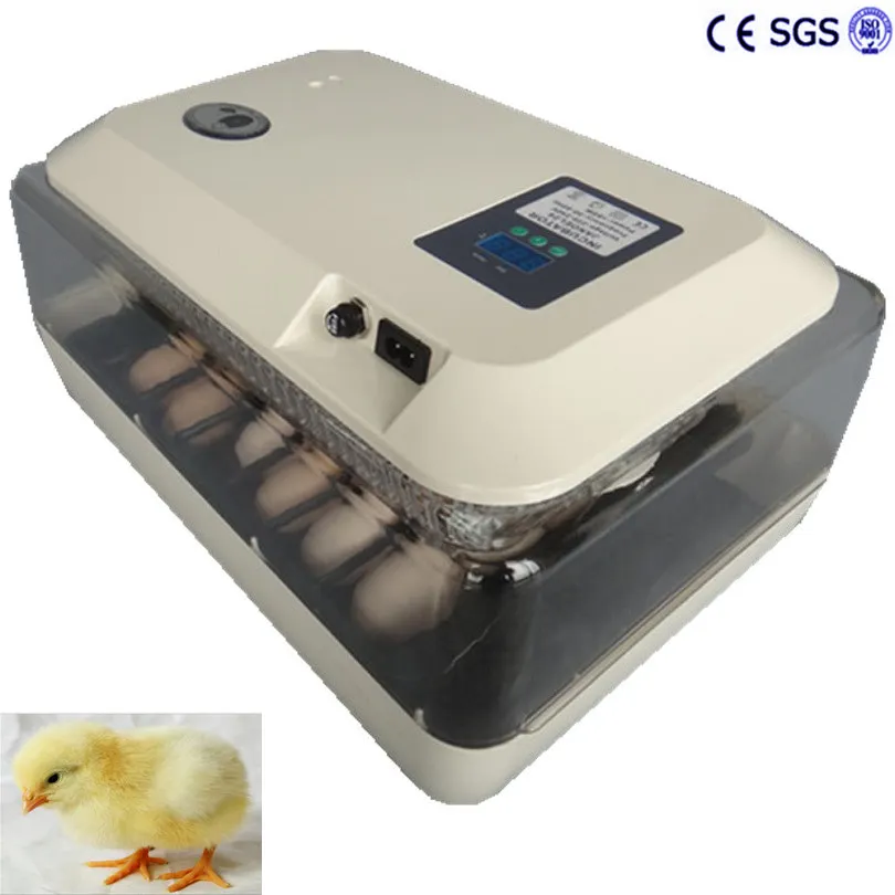 110v/220v Motors Automatic Egg Incubator Tray 24 Egg High Hatching Rate