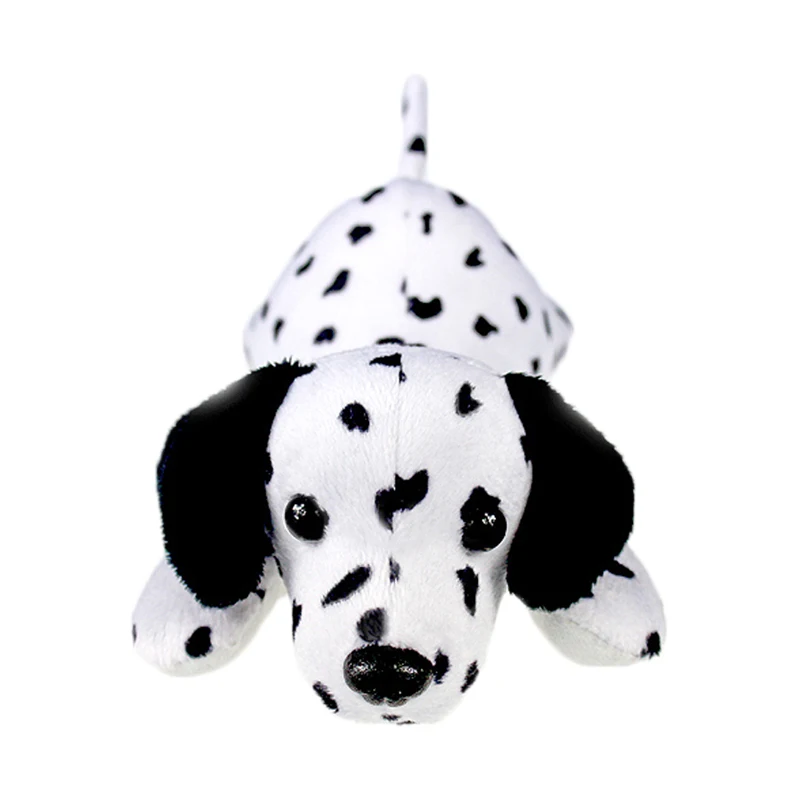 dalmatian dog_5