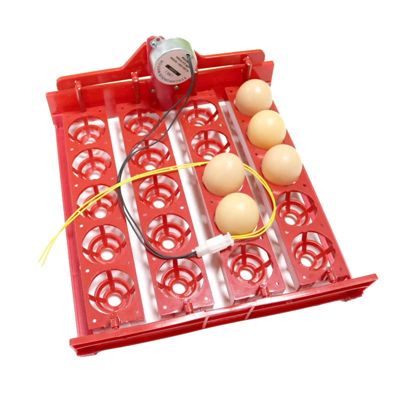 20 Eggs Turn Tray Incubator Chickens Ducks And Other Poultry Incubation