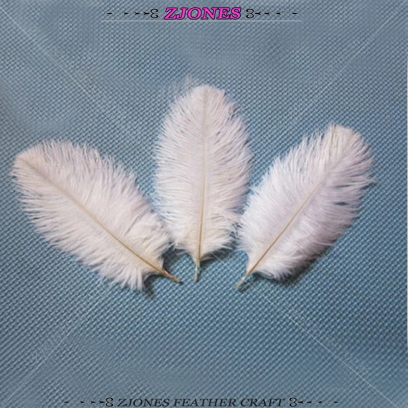 10pcs/lot 6 8 Inches 15 20cm Fluffy Soft Ostrich Feather White Feather