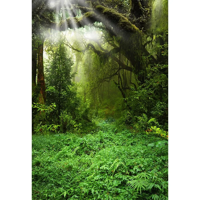 MEHOFOTO фон для фотостудии сказочный лес Луна джунгли зеленая трава дерево фон для фотосессии профессиональный - Цвет: Небесно-голубой