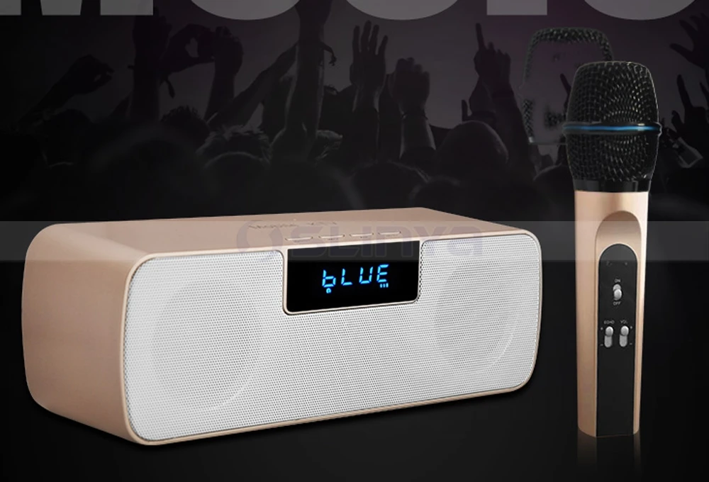 Speaker with wireless microphone 8040170721 (7)