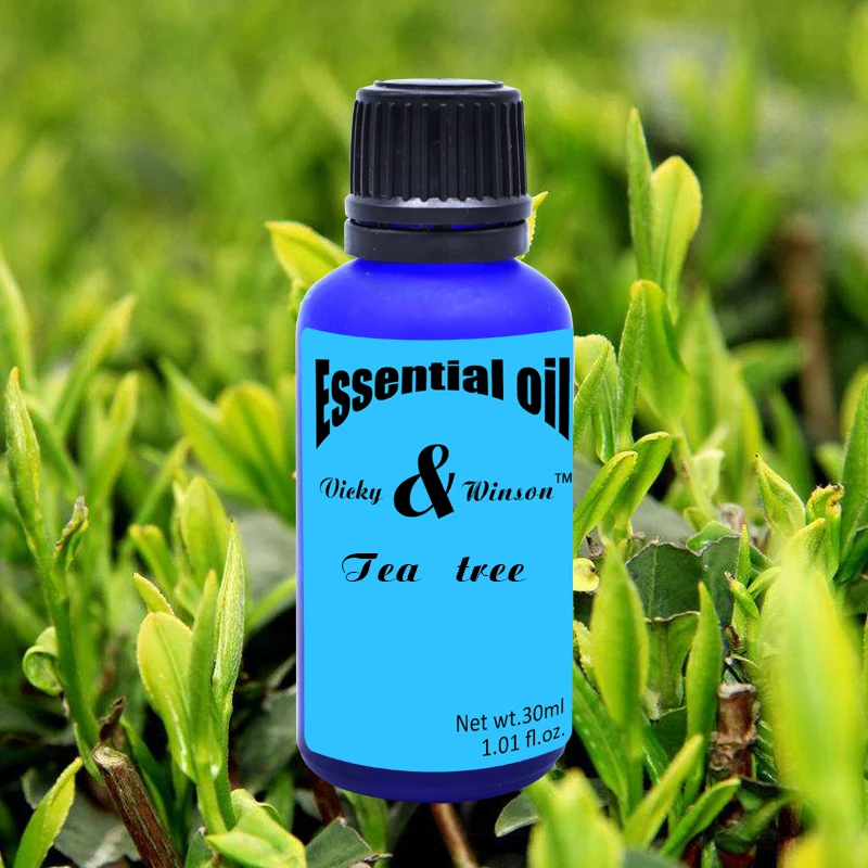 Vicky&winson Tea tree aromatherapy essential oils 30ml Water - soluble humidifier pure plant aroma deodorization 30ml premium camphor essential oils hiqili natural plant aromatherapy diffuser oil sandalwood frankincense cedarwood tea tree