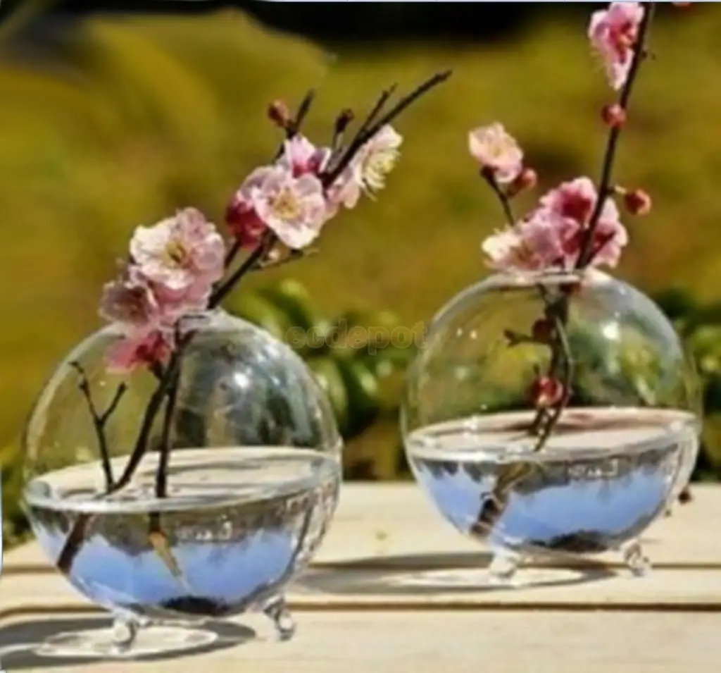 2 Pieces Glass Hydroponic Vase Micro Landscape DIY Bottle Terrarium Container
