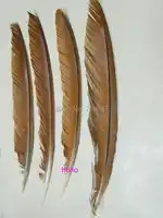50Pcs/lot!6-12inches Brown&Black Peacock Flight Quill Feathers,Brown Peacock Quills,Peacock feathers